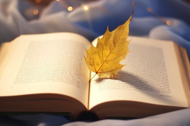 国际经济与贸易专业有哪些大专学校