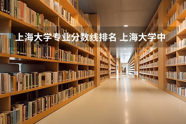 上海大学专业分数线排名 上海大学中外合作办学分数线