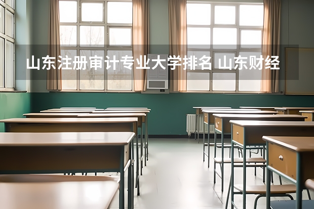 山东注册审计专业大学排名 山东财经大学最好的专业排名