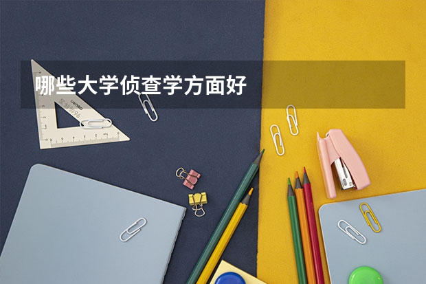 哪些大学侦查学方面好