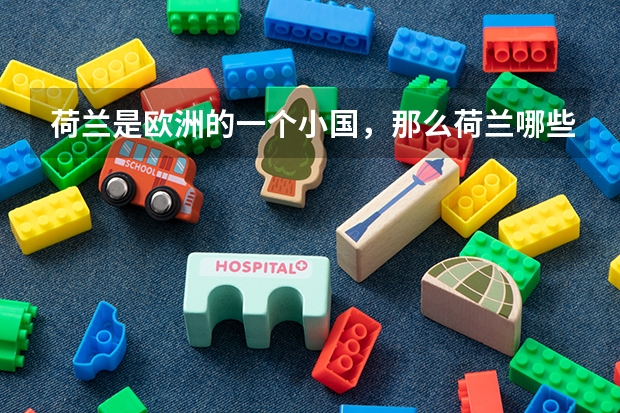 荷兰是欧洲的一个小国，那么荷兰哪些大学排名在国内前十？