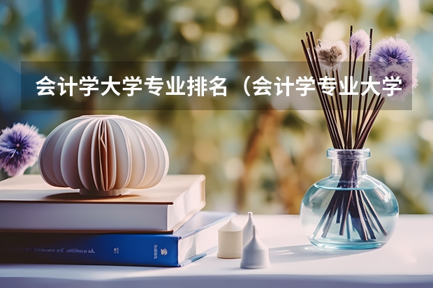 会计学大学专业排名（会计学专业大学排名）