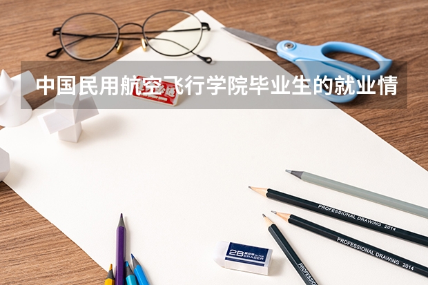 中国民用航空飞行学院毕业生的就业情况如何?