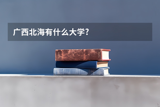 广西北海有什么大学?
