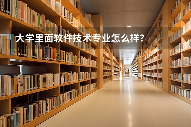 大学里面软件技术专业怎么样？