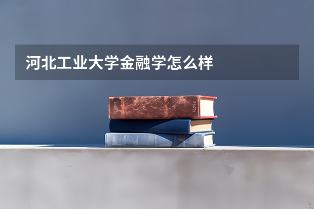 河北工业大学金融学怎么样