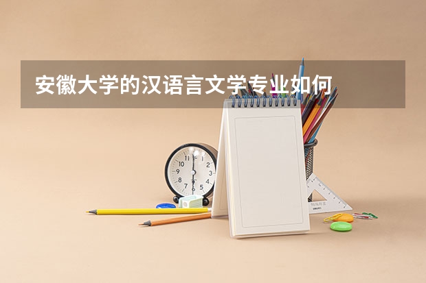 安徽大学的汉语言文学专业如何