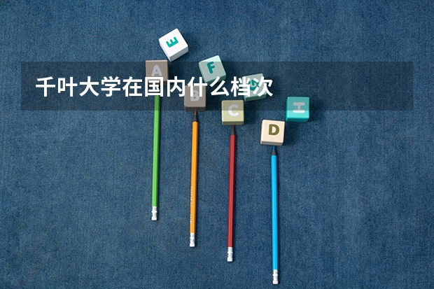 千叶大学在国内什么档次