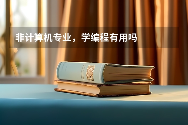 非计算机专业，学编程有用吗