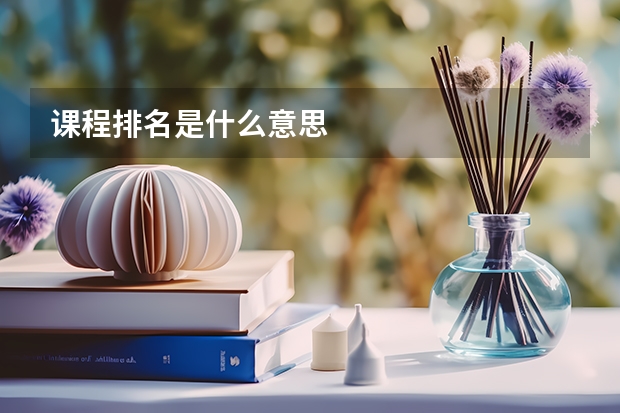 课程排名是什么意思