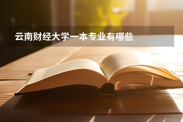 云南财经大学一本专业有哪些