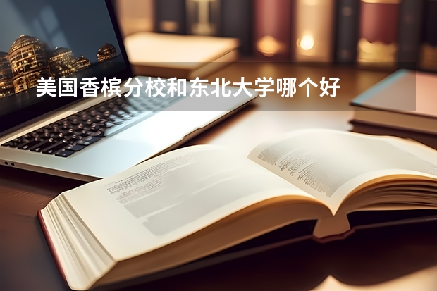 美国香槟分校和东北大学哪个好