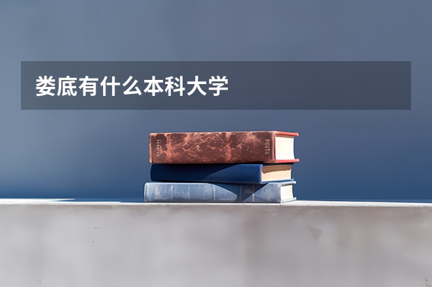 娄底有什么本科大学