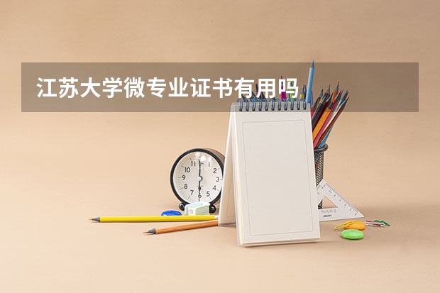 江苏大学微专业证书有用吗