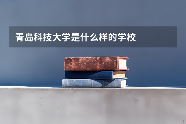 青岛科技大学是什么样的学校