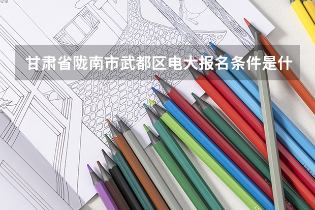 甘肃省陇南市武都区电大报名条件是什么？