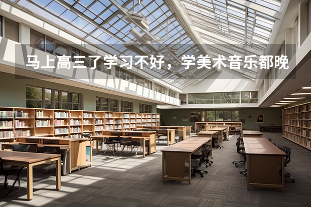 马上高三了学习不好，学美术音乐都晚了，想学空乘，空乘怎么样啊？