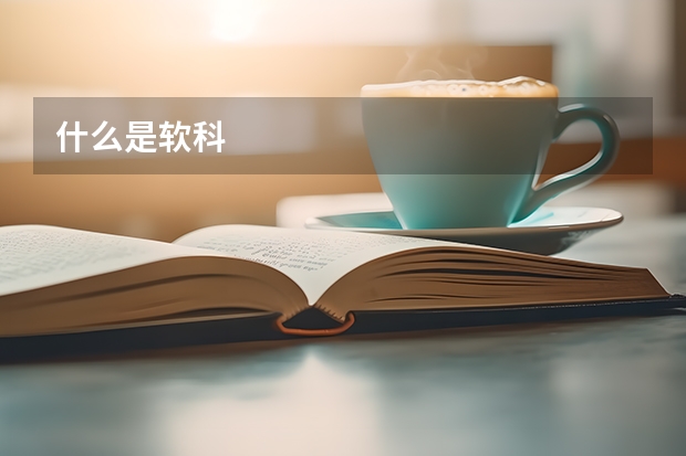 什么是软科