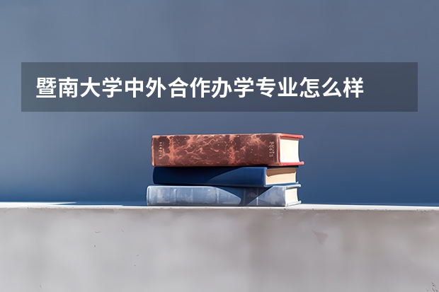暨南大学中外合作办学专业怎么样