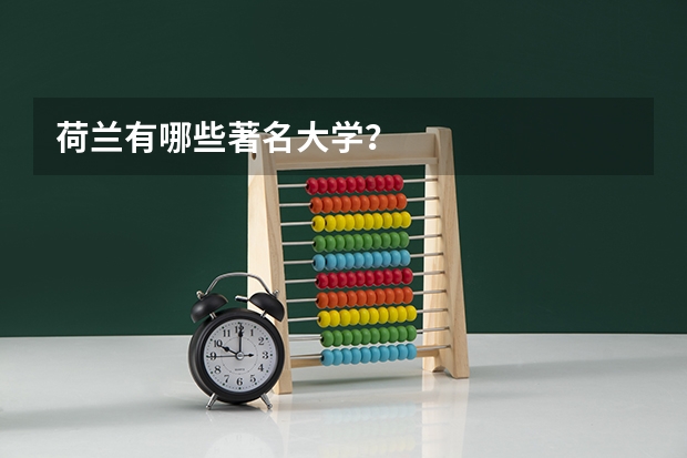荷兰有哪些著名大学？