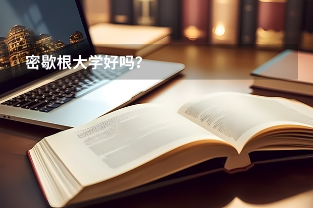 密歇根大学好吗？