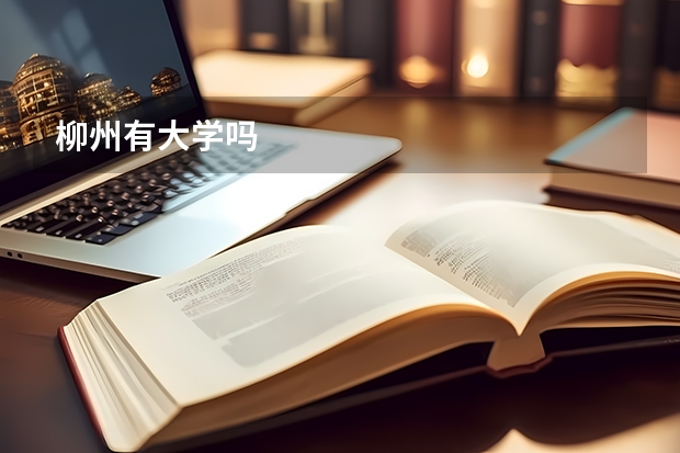 柳州有大学吗