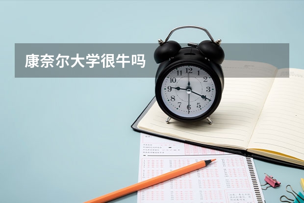 康奈尔大学很牛吗