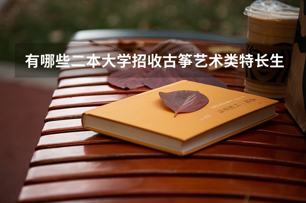 有哪些二本大学招收古筝艺术类特长生