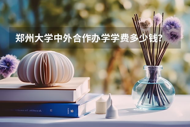 郑州大学中外合作办学学费多少钱？