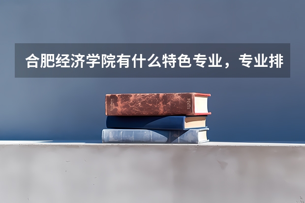 合肥经济学院有什么特色专业，专业排名如何