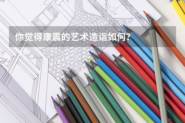 你觉得康震的艺术造诣如何？