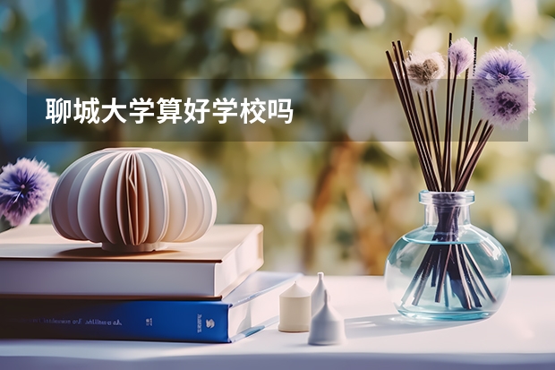 聊城大学算好学校吗
