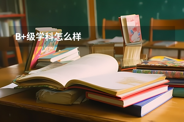B+级学科怎么样