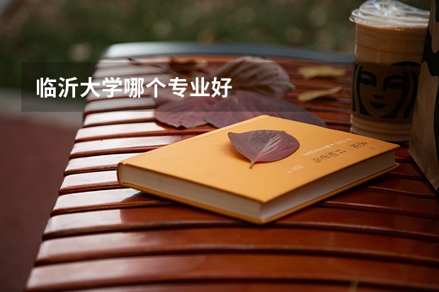临沂大学哪个专业好