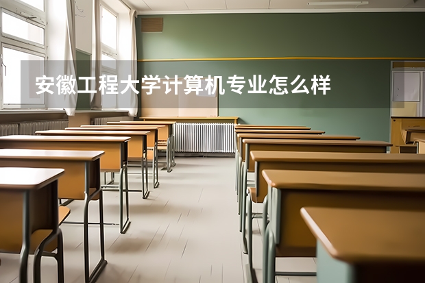 安徽工程大学计算机专业怎么样