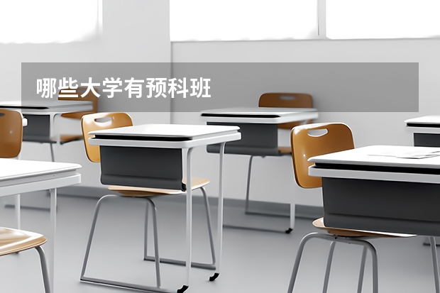哪些大学有预科班