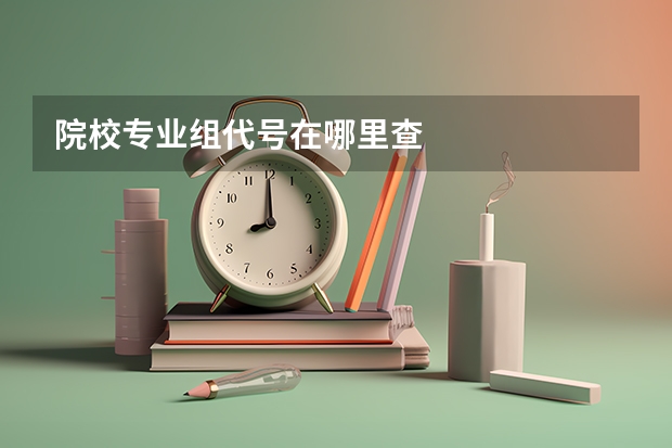 院校专业组代号在哪里查