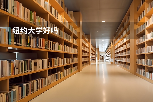 纽约大学好吗