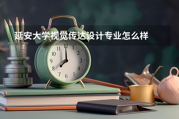 延安大学视觉传达设计专业怎么样