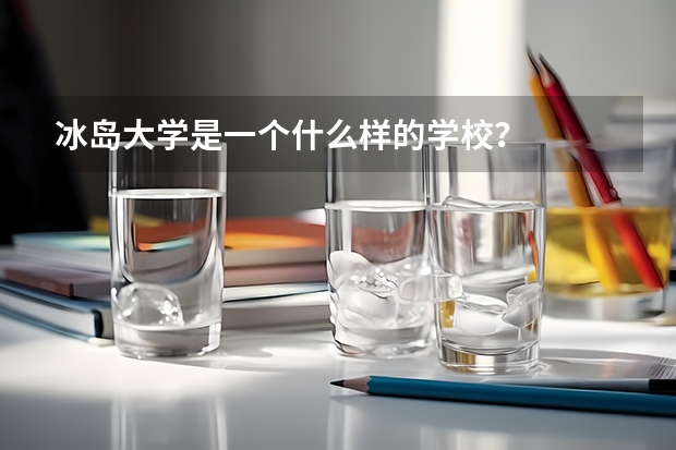 冰岛大学是一个什么样的学校？