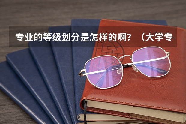 专业的等级划分是怎样的啊？（大学专业评价等级）