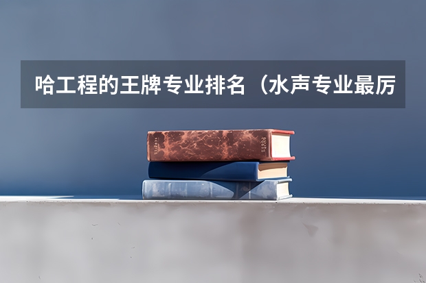 哈工程的王牌专业排名（水声专业最厉害的大学）