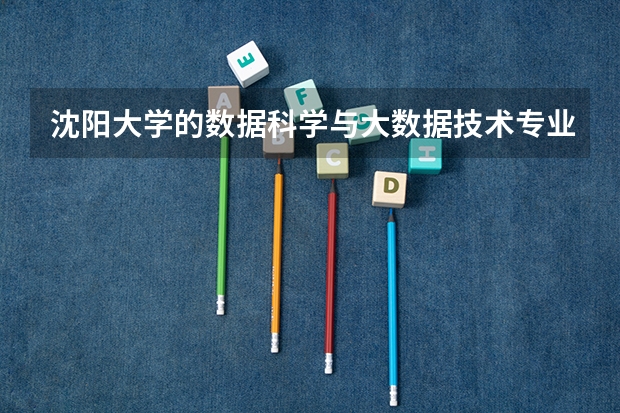 沈阳大学的数据科学与大数据技术专业教的好吗