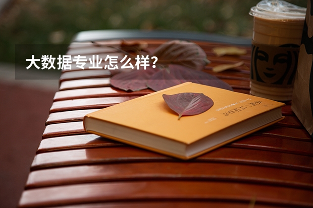大数据专业怎么样？