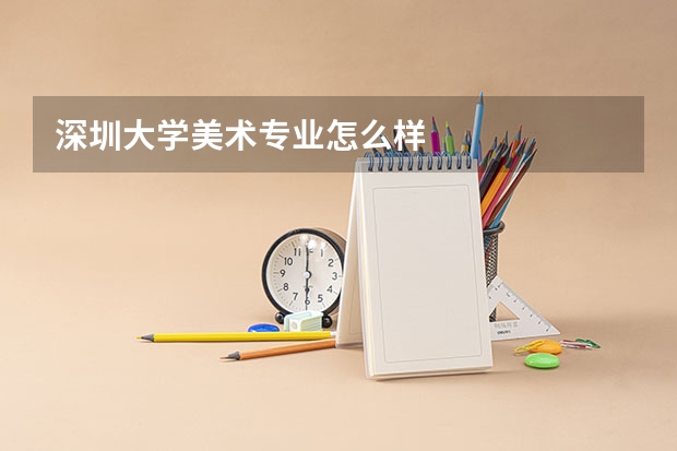 深圳大学美术专业怎么样