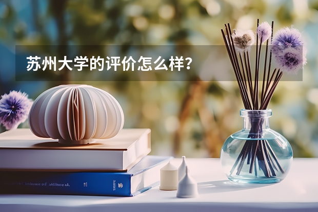 苏州大学的评价怎么样？
