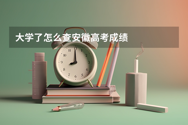 大学了怎么查安徽高考成绩