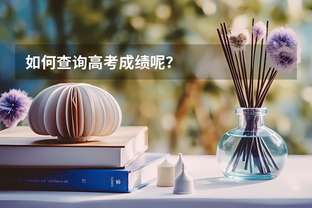 如何查询高考成绩呢？