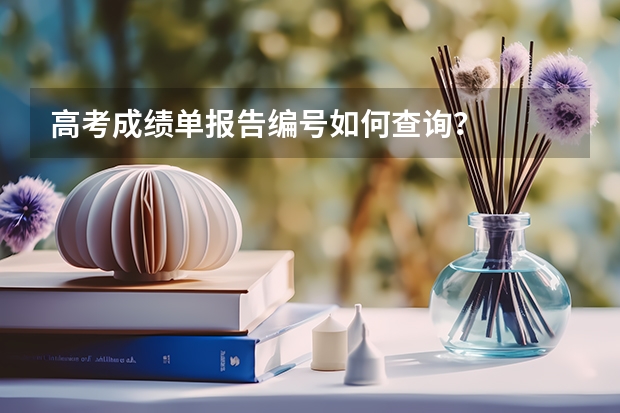 高考成绩单报告编号如何查询？