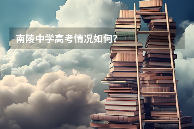 南陵中学高考情况如何？